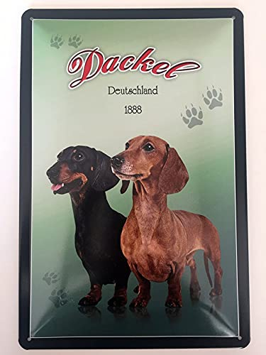 Metall Schild 20x30cm Dackel Hund Blechschild