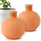 Lovely Ran Lot de 2 Pots d'arrosage en Argile de 12,7 cm avec Couvercle en Terre Cuite pour Irrigation des Plantes avec Rangement supérieur pour Pots de Fleurs pour Les Amateurs de Plantes