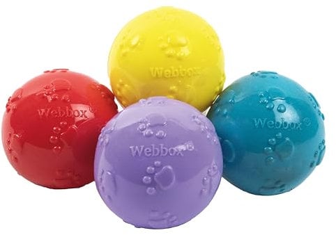 Webbox Fun & Squeaky Balls (4 Pack) - Boredom Buster Dog Toys