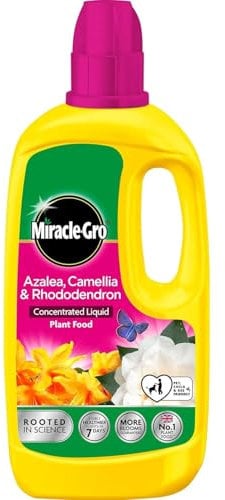 Miracle-Gro Ericaceous Liquid Plant Food 800ml | Concentrated Feed for Acid-Loving Plants | Promotes Vibrant Blooms, Rich Green Foliage & Strong Root Development