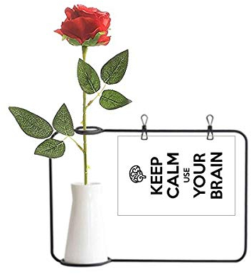 Künstliche Rose mit Zitat Keep Calm and Use Your Brain, hängende Vasen, Dekoration, Flasche