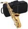 Professional Alto Saxophone in E flat Altsaxophon, Goldenes Messing Lackiert Professionelles Übungsinstrument Für Anfänger Und Erwachsene