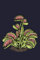 Venus Fly Trap Journal Carnivorous Plants Notebook Insectivorous Gifts: Carnivorous Plants Gifts For Kids & Adults