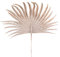 Macosa CA51972 Deko-Blatt Glitzer 36 cm Champagner Kunststoffblatt Winterdekoration Weihnachtsdeko Tischdeko Kunststoff Dekozweig Weihnachtszweig Weihnachten