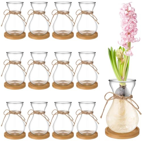 FoldTier Glass Bulb Vases for Flowers Forcing Hyacinth Clear Vase Decorative Bulb Vase with Round Bamboo Coaster for Home Office Table Decoration(12 Pcs)