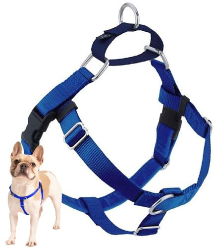 2 Hounds Design Freiheit verhindert Zerren Keine Leine Geschirr nur, 5/8 Zoll, XS, Royal Blau