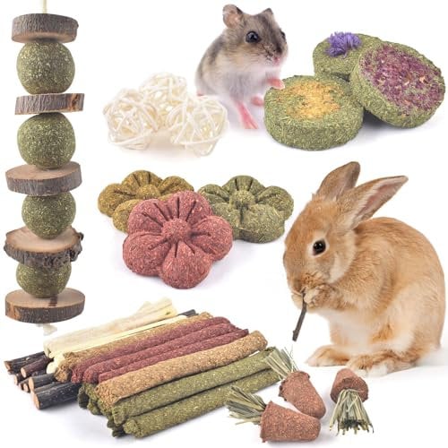 ERKOON Kaninchen Spielzeug, 42 Stück Timothy Heu Sticks Karotten Rosengraskuchen Zahnpflege Molar, Chinchillas Spielzeug Kauspielzeug für Kaninchen, Meerschweinchen, Hamster, Chinchilla (Mehrfarbig)