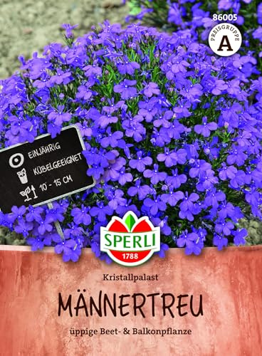 Sperli Männertreusamen Kristallpalast SPERLI's Tiefblauer 86005, Saatgut | Tiefblaue reichblühende Balkonblume für Balkonkästen, kompakte einjährige Sommerblume für sonnige bis halbschattige Standorte