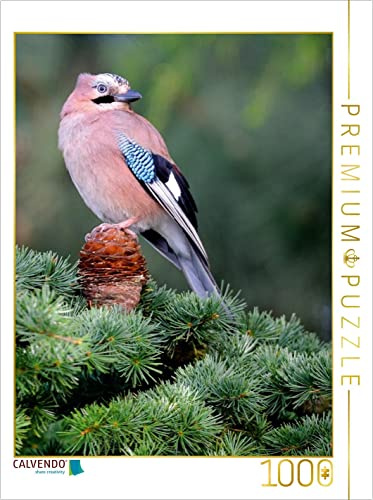 CALVENDO Puzzle Eichelhäher | 1000 Teile Lege-Größe 48 x 64 cm Foto-Puzzle für glückliche Stunden