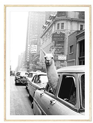 bdrsjdsb Vintage Alpaka Poster Leinwand ungerahmt Malerei Wand Kunst Bild Wohnzimmer Home Decor 21 * 30 cm