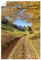 ARTLAND Wanddeko Poster & Kunstdrucke Wandposter 60x90 cm Hochformat Landschaftsbilder Bayern Berge Alpen Herbst Allgäu Natur Landhausstil U2FA