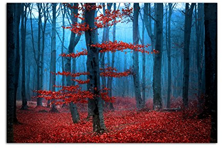 Paul Sinus Art 120x80cm - WANDBILD Wald Bäume Blätter Nebel Herbst - Leinwandbild auf Keilrahmen modern stilvoll - Bilder und Dekoration