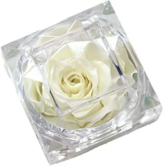 Ringschachtel für künstliche Blumenringe,Rose Blume Verlobungsring Box,Verlobungsring Schachtel Rose Ringschachtel für Hochzeit Ringe Verlobungsring Valentinstag Jubiläum Heiratsantrag Deko,Weiss
