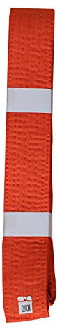 Lisaro kampfsportgürtel Karate Judo Taekwondo Ju Jutsu BJJ Gürtel Gr. 160-300 cm (orange, 240)