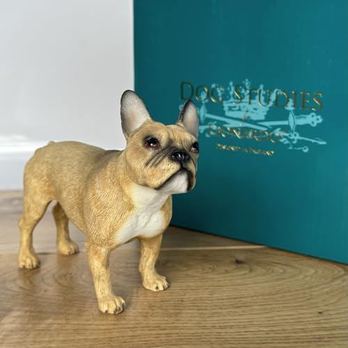 The Leonardo Collection Leonardo Dog Studies FRENCH BULLDOG Fawn/Tan figure/ornament, Resin, H11cm, LP44233