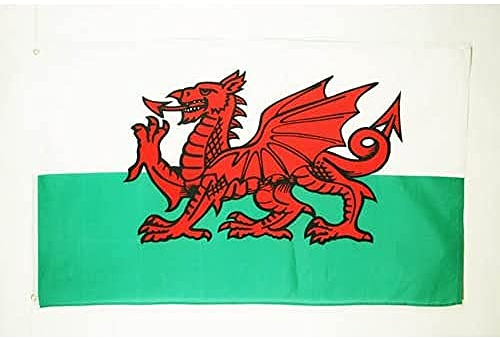 BANDIERA GALLES 150x90cm - GRAN BANDIERA GALLESE 90 x 150 cm Poliestere leggero - Bandiere - AZ FLAG