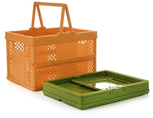 Spesh 2 Pcs Collapsible Storage Crates 24cm*18cm Mini Kid Shopping Baskets with Handles Small Plastic Crates for Picnic,Shopping,Camping(Orange+Green)