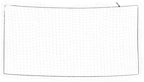 vidaXL Anhängernetz, Hängernetz mit Gummiseil, Abdecknetz für Anhänger, Transportnetz Ladungssicherungsnetz Gepäcknetz, Weiß 4x2m PP