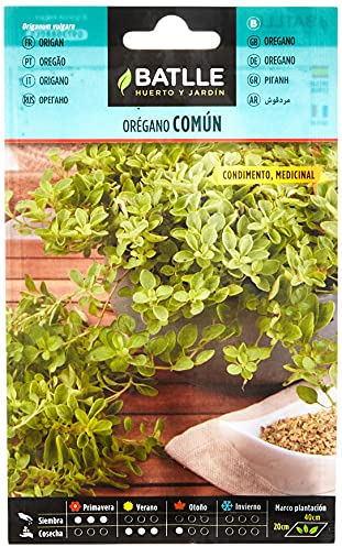 Semillas Batlle Orégano - Origanum vulgare