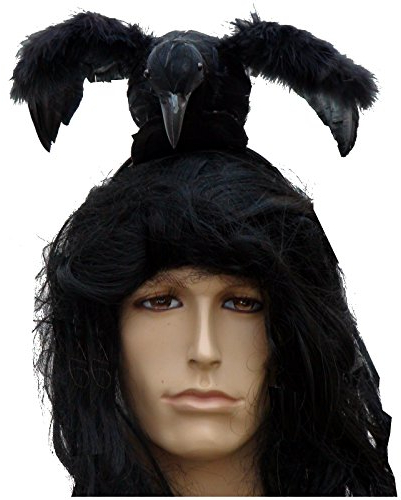 Spassprofi Schwarze Krähe mit Haarreif für Hexe Lone Halloween oder Ranger toter Vogel