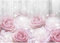 Runa Art Papier peint intissé 396 x 280 cm fleurs roses | Toison Décoration Murale Salon Chambre á Coucherr | Fabrication Allemande | Rose et blanc 9425012a