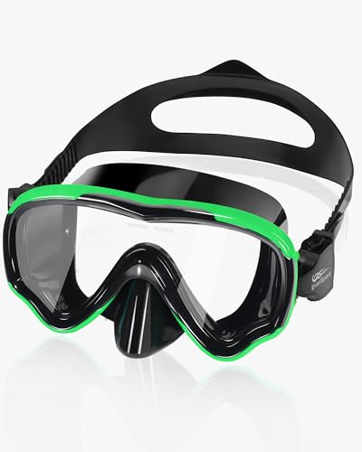 EverSport Schwimmbrille für Erwachsene, mit Nasenschutz, für Damen, Herren, Jugendliche, Junior, kein Auslaufen, Anti-Beschlag, klare Weitsicht, Tauchmaske, offenes Wasser, Pool