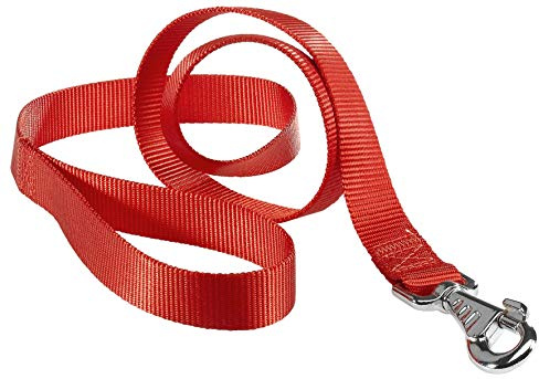 Guinzaglio nylon resistente cane cani vari colori misure FERPLAST CLUB G