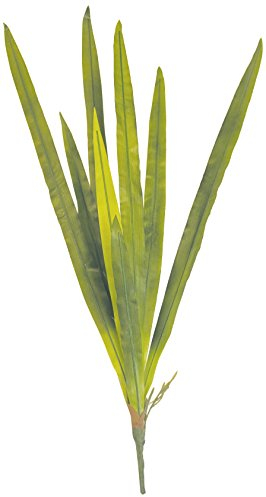Namiba Terra 5892 Spitzblattbromelie, 14 Blätter, Polyester und Kunststoff, 70 cm, grasgrün