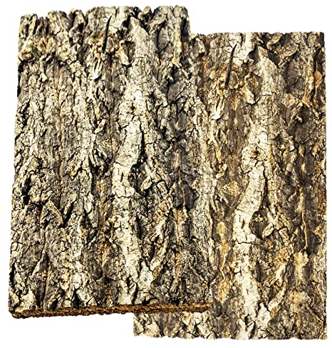 kathson 2PCS Thicker Cork Tile Background Bark 11.6”Lx7.7”Wx0.5”H Reptile Tank Backgroun Terrarium Background Natural Reptile Climbing Mat for Spider Gecko Lizard Chameleon Bearded Dragon Turtle Snake