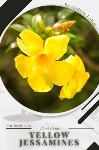 Yellow Jessamines: Plant Guide