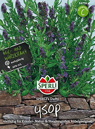 Sperli's Ysop Dufti, Hyssopus officinalis