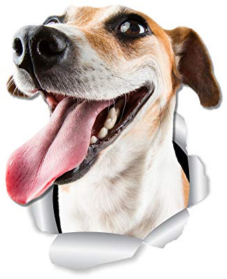 Winston & Bear Happy Jack Russell Dog Wall Decals - 2 Pack - Jack Russell Dog Toilet Sticker – 3D Dog Car Window and Bumper Sticker - Retail Packaged Jack Russell Lover Gifts