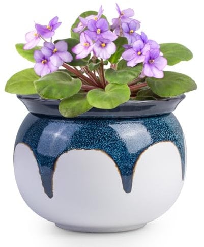 BUYMAX African Violet Pots, 6 inch Ceramic Easy Self Watering Plant Pot for Busy Plant Lovers, Automatically Absorb Appropriate Amount of Water, Flower Pot Indoor-Plants Not Included(Blue)