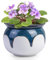 BUYMAX African Violet Pots, 6 inch Ceramic Easy Self Watering Plant Pot for Busy Plant Lovers, Automatically Absorb Appropriate Amount of Water, Flower Pot Indoor-Plants Not Included(Blue)