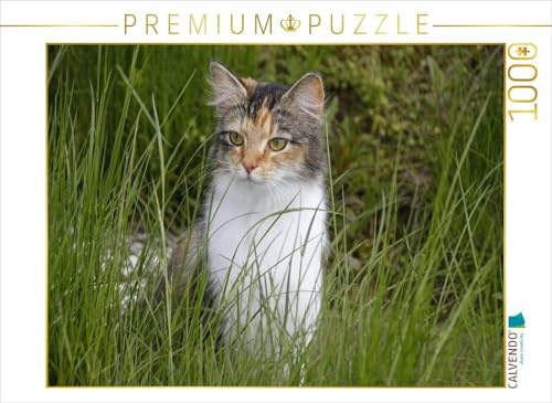 CALVENDO Puzzle Glückskatze | 1000 Teile Lege-Größe 64 x 48 cm Foto-Puzzle für glückliche Stunden