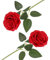 arrderly 2 rose artificiali rosse, rose artificiali con stelo, fiori decorativi realistici per matrimoni, casa, giardino, feste di compleanno (rosso)