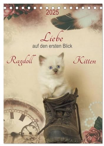 Liebe auf den ersten Blick Ragdoll Kitten (Tischkalender 2025 DIN A5 hoch), CALVENDO Monatskalender