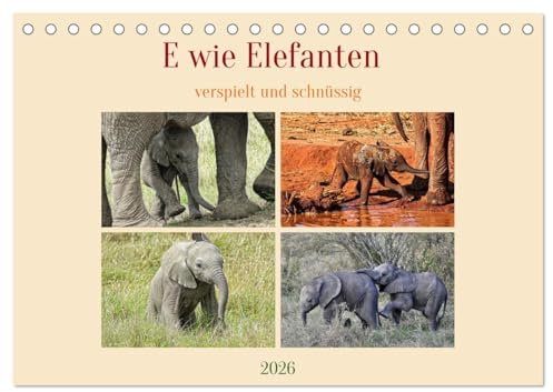 E wie Elefanten - verspielt und schnüssig (Tischkalender 2026 DIN A5 quer), CALVENDO Monatskalender: Kinderstube in der freien Wildbahn (CALVENDO Tiere)