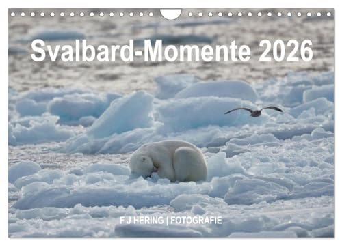 Svalbard-Momente (Wandkalender 2026 DIN A4 quer), CALVENDO Monatskalender: Spitzbergen, Nordaustlandet und Kvitoya (CALVENDO Natur)