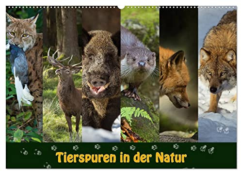 Tierspuren in der Natur (Wandkalender 2026 DIN A2 quer), CALVENDO Monatskalender: Entdecken sie Tiere und deren Spuren in der Natur. (CALVENDO Tiere)