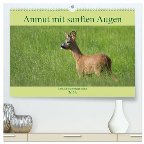 Anmut mit sanften Augen - Rehwild in der freien Natur (hochwertiger Premium Wandkalender 2026 DIN A2 quer), Kunstdruck in Hochglanz: Ein Einblick in die Welt einer wunderbaren Tierart (CALVENDO Tiere)