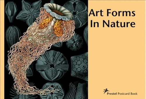 Art Forms in Nature: Ernst Haeckel (Prestel Postcard Books S.)