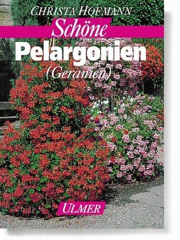 Schöne Pelargonien (Geranien)