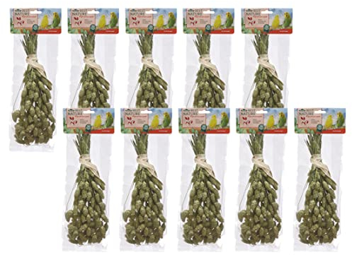 Dehner Best Nature Vogelsnack, Kanariensaat für Ziervögel, 100 % natürliche Ährenstücke, 10 x 50 g (500 g)
