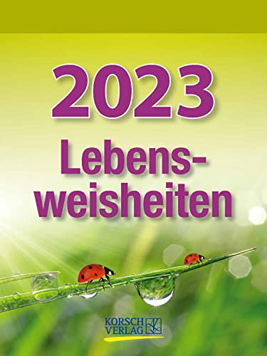Lebensweisheiten 2023: Tages-Abreisskalender mit einem neuen Spruch für jeden Tag. I Aufstellbar I 12 x 16 cm