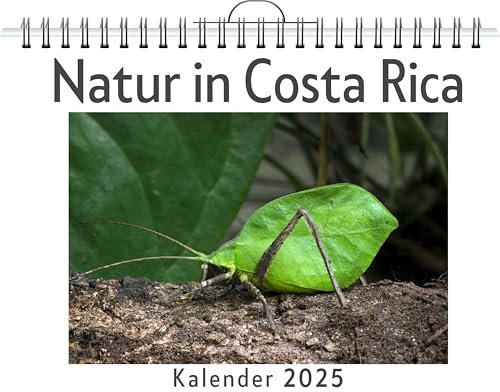 Natur in Costa Rica - (Wandkalender 2025, Kalender DIN A4 quer, Monatskalender im Querformat mit Kalendarium, das perfekte Geschenk)