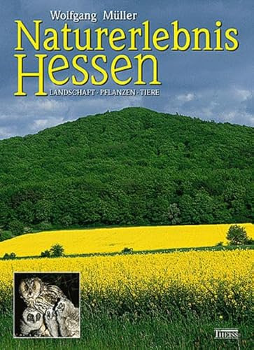 Naturerlebnis Hessen: Landschaft - Pflanzen - Tiere