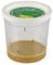 Insect Lore Cup of 3-5 Live Baby Caterpillars - Raise and Release Refill