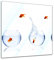 Bilderdepot24 Glasbild - Fischolympiade - 50 x 50 cm - Deko Glas - Wandbild aus Glas - Bild auf Glas - moderne Glasbilder - Glasfoto - Echtglas - kein Acryl - Handmade