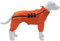 wasserdichte Hundejacke, leichte reflektierende Sicherheits-Hunderegenjacke, Winddichte und schneesichere Hundeweste für kleine, mittelgroße und große Hunde. Orange XXXL